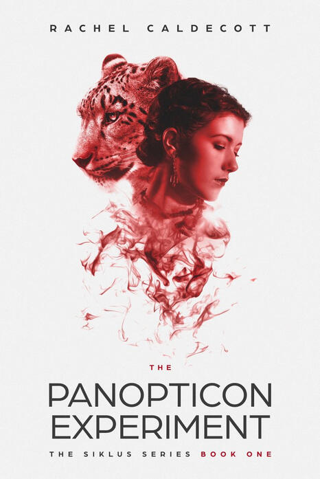 The Panopticon Experiment by Rachel Cadecott